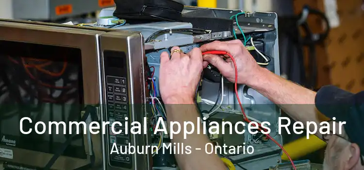 Commercial Appliances Repair Auburn Mills - Ontario