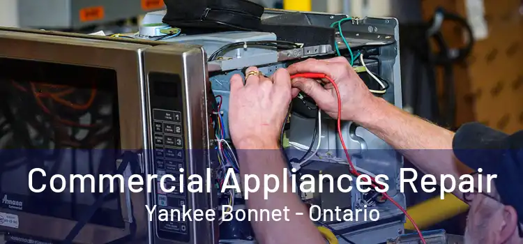 Commercial Appliances Repair Yankee Bonnet - Ontario