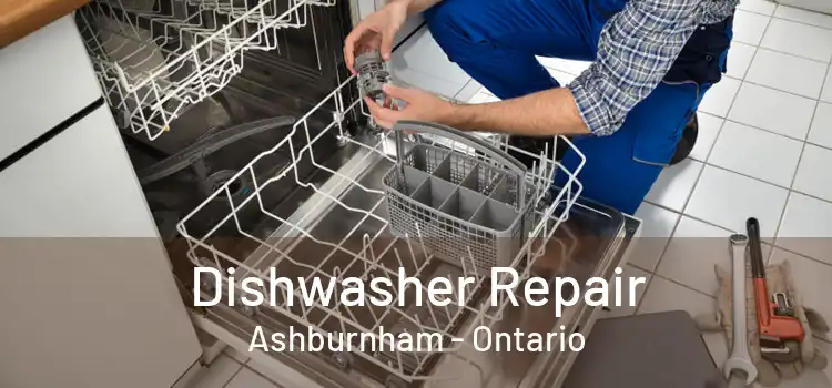 Dishwasher Repair Ashburnham - Ontario