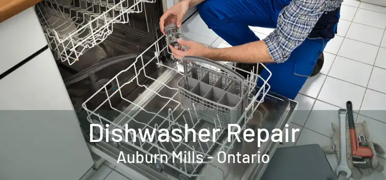 Dishwasher Repair Auburn Mills - Ontario