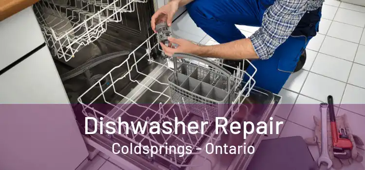 Dishwasher Repair Coldsprings - Ontario