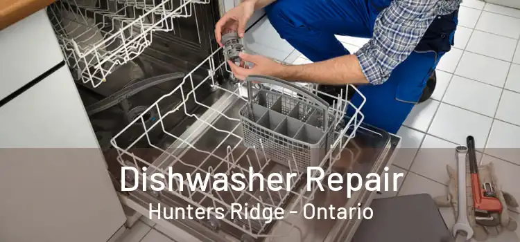 Dishwasher Repair Hunters Ridge - Ontario