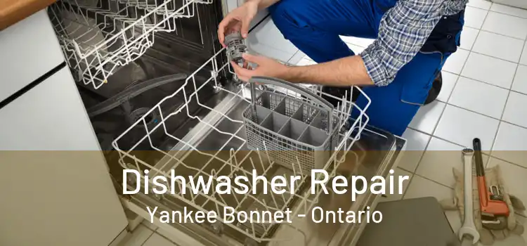 Dishwasher Repair Yankee Bonnet - Ontario