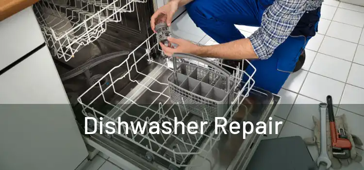 Dishwasher Repair 