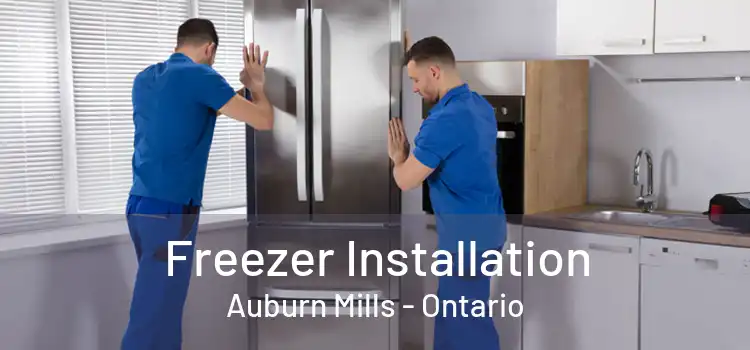 Freezer Installation Auburn Mills - Ontario