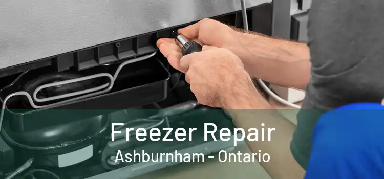 Freezer Repair Ashburnham - Ontario