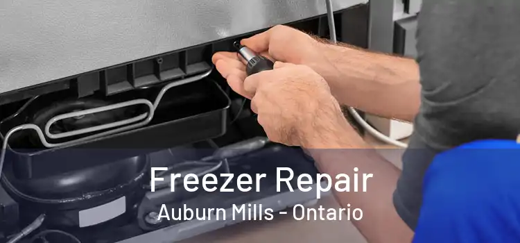 Freezer Repair Auburn Mills - Ontario