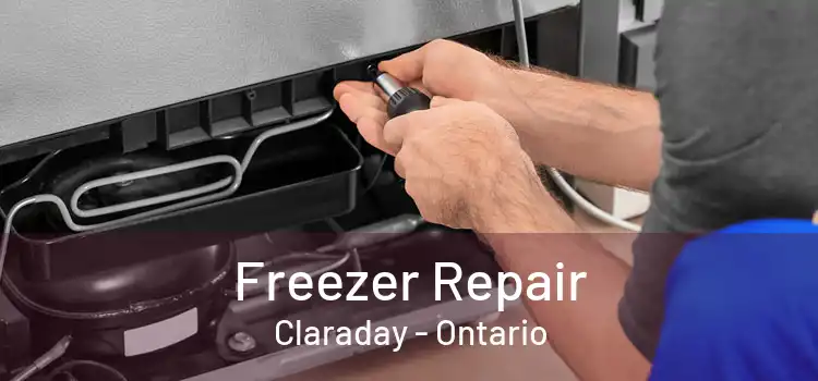 Freezer Repair Claraday - Ontario