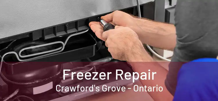 Freezer Repair Crawford's Grove - Ontario