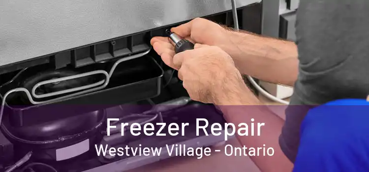 Freezer Repair Westview Village - Ontario