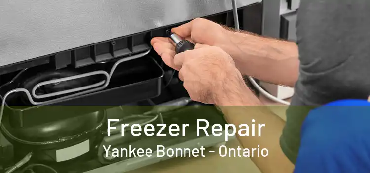 Freezer Repair Yankee Bonnet - Ontario