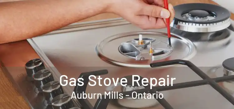 Gas Stove Repair Auburn Mills - Ontario