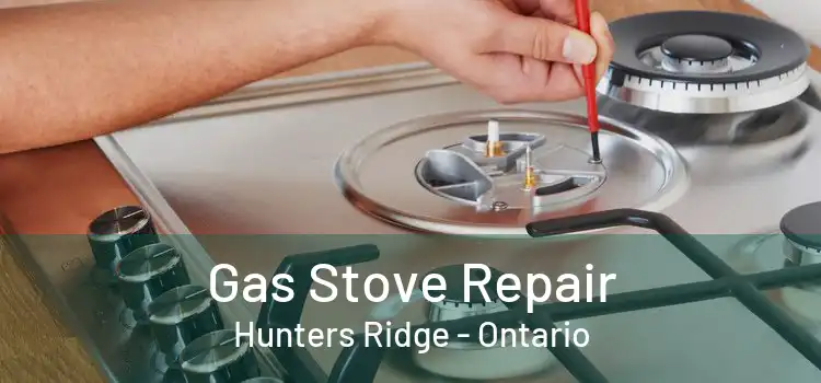 Gas Stove Repair Hunters Ridge - Ontario