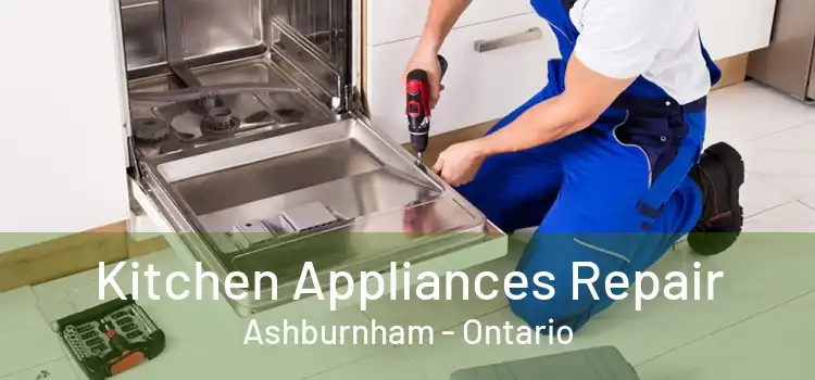 Kitchen Appliances Repair Ashburnham - Ontario