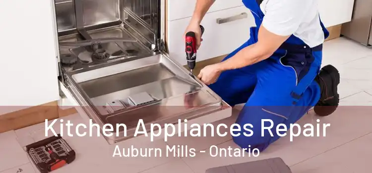 Kitchen Appliances Repair Auburn Mills - Ontario