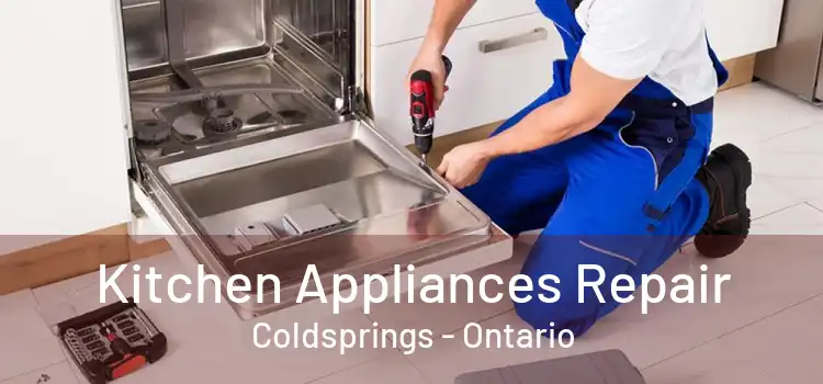 Kitchen Appliances Repair Coldsprings - Ontario