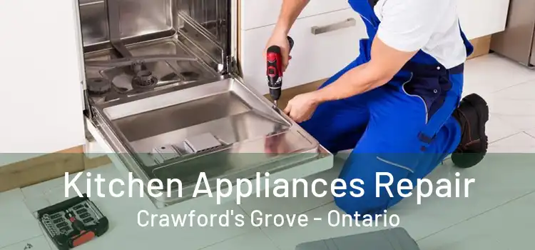 Kitchen Appliances Repair Crawford's Grove - Ontario