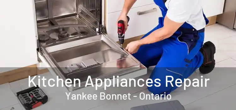 Kitchen Appliances Repair Yankee Bonnet - Ontario