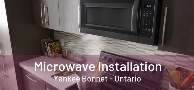 Microwave Installation Yankee Bonnet - Ontario