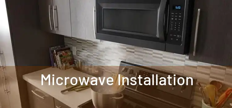 Microwave Installation 