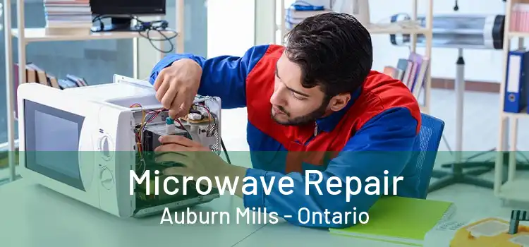 Microwave Repair Auburn Mills - Ontario