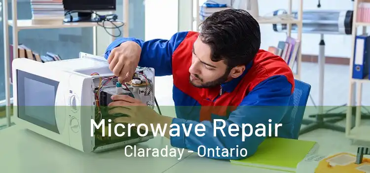 Microwave Repair Claraday - Ontario