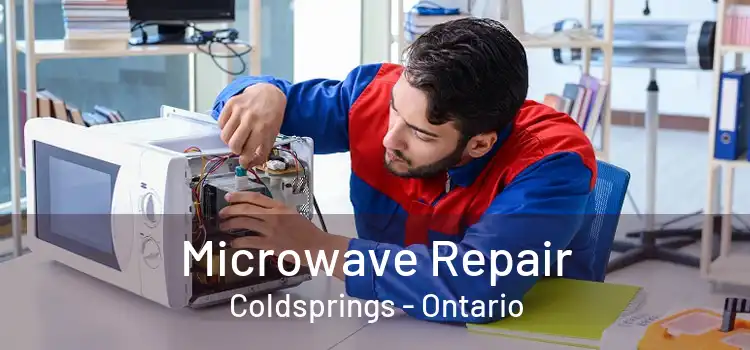 Microwave Repair Coldsprings - Ontario