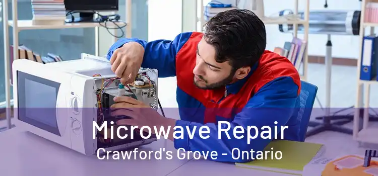 Microwave Repair Crawford's Grove - Ontario