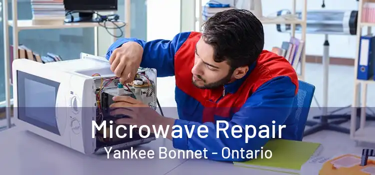 Microwave Repair Yankee Bonnet - Ontario