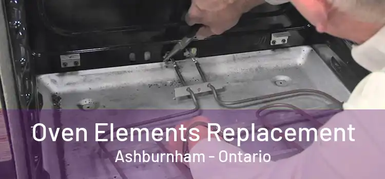 Oven Elements Replacement Ashburnham - Ontario