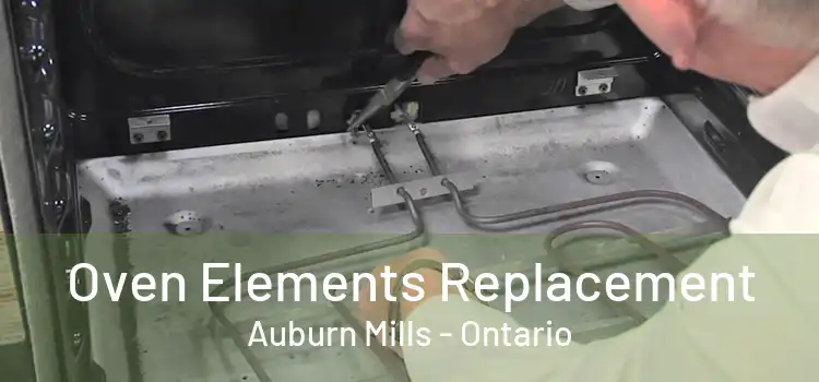 Oven Elements Replacement Auburn Mills - Ontario