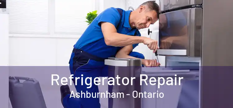 Refrigerator Repair Ashburnham - Ontario