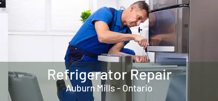 Refrigerator Repair Auburn Mills - Ontario