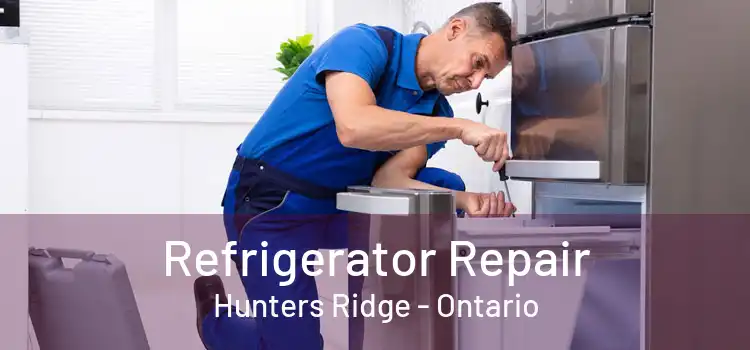 Refrigerator Repair Hunters Ridge - Ontario