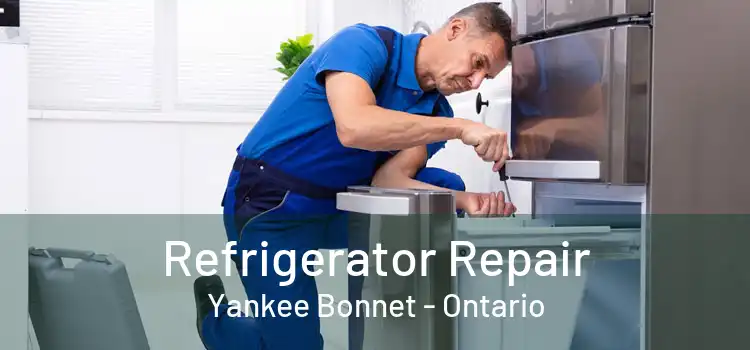 Refrigerator Repair Yankee Bonnet - Ontario