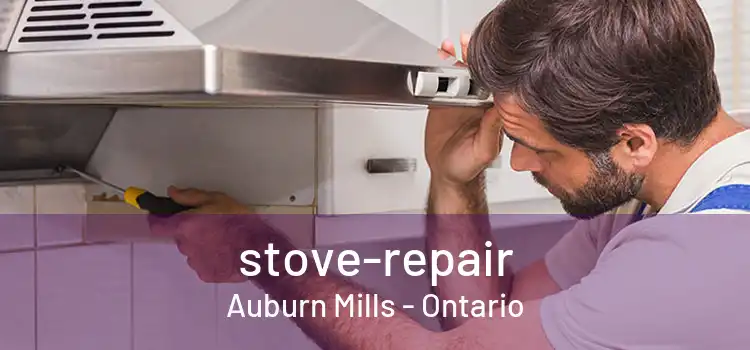 stove-repair Auburn Mills - Ontario